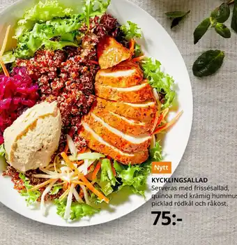 Nytt KYCKLINGSALLAD Serveras med frissésallad, quinoa med krämig hummus, picklad rödkål och råkost.