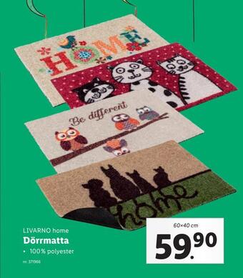 Lidl Dörrmatta erbjuda