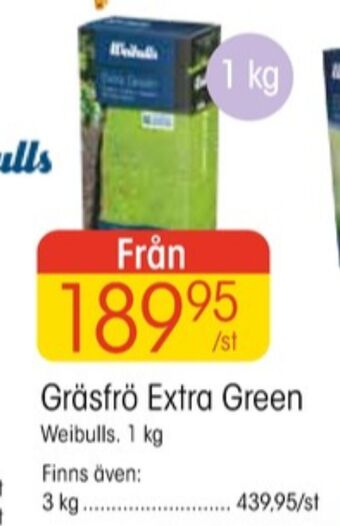 EKO Weibull gräsfrö erbjuda