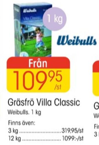 EKO Weibull gräsfrö erbjuda