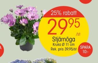 EKO Umbro plantor erbjuda