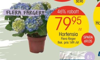 EKO Weibull plantor erbjuda