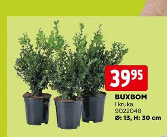 Jem&Fix Buxbom erbjuda