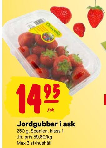City Gross Jordgubbar i ask erbjuda