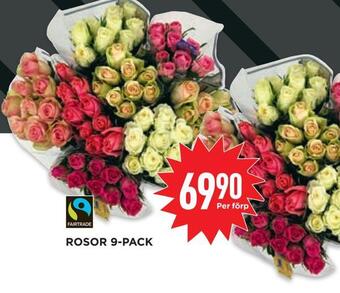 Willys Rosor 9-pack erbjuda
