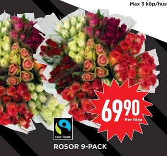 Willys Hemma Rosor 9-pack erbjuda