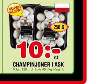 Nya Pulsen Champinjoner i ask erbjuda