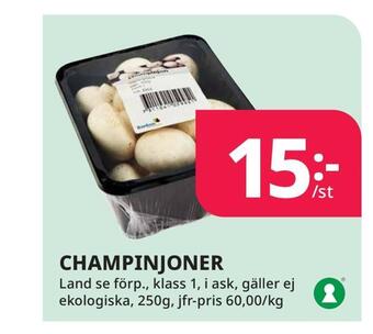 Tempo Champinjoner erbjuda