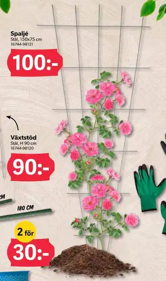 DollarStore Spaljé erbjuda