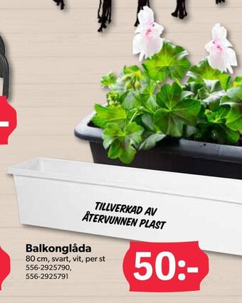 DollarStore Balkonglåda erbjuda