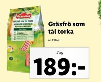Gräsfrö som tål torka