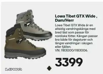 XXL Lowa Tibet GTX Wide Dam/Herr erbjuda