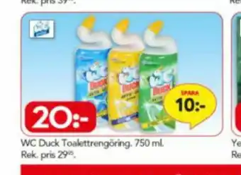 Duck WC rent
