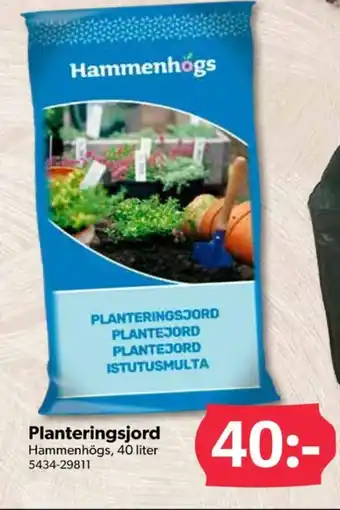 DollarStore Hammenhögs plantjord erbjuda