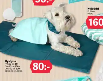 DollarStore Turtle wax hund-/kattsäng erbjuda