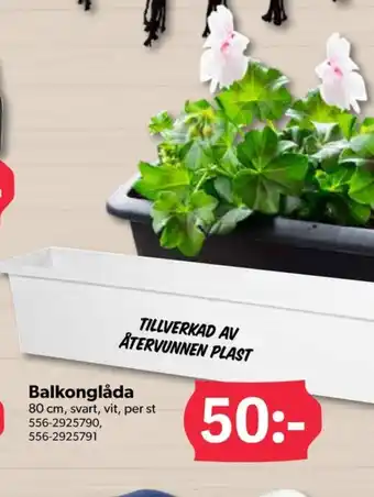 Hammenhögs blomlådor