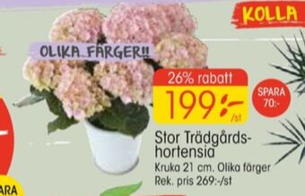 EKO Plantor erbjuda