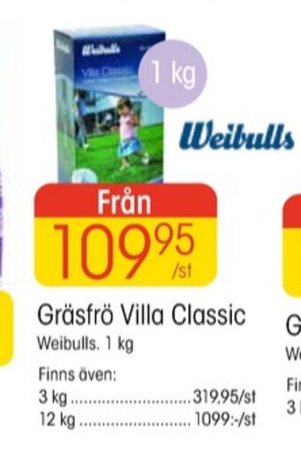 EKO Weibull gräsfrö erbjuda