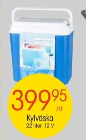 Rörets kylväska