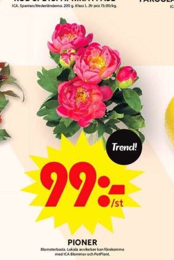 ICA Maxi Blomsterboda blommor erbjuda