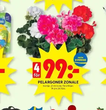 ICA Kvantum Nestlé plantor erbjuda