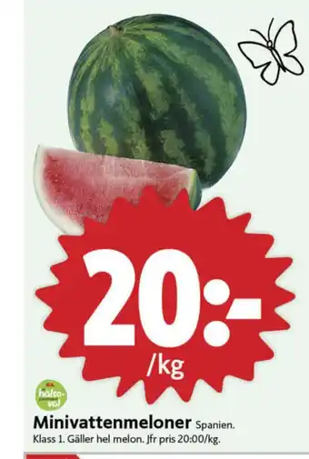 ICA Nära Triumf vattenmelon erbjuda