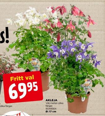 Jem&Fix Akleja erbjuda