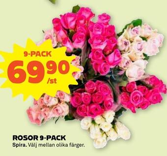 Stora Coop Rosor 9-pack erbjuda