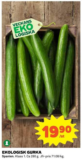 Coop Ekologisk gurka erbjuda