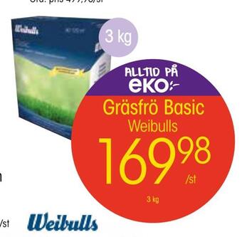 Gräsfrö basic
