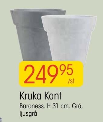 EKO Kruka kant erbjuda