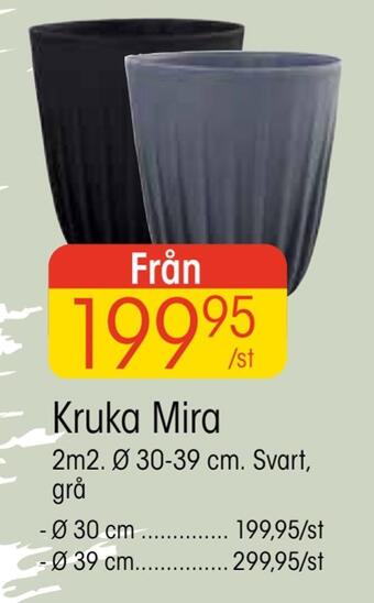 EKO Kruka mira erbjuda
