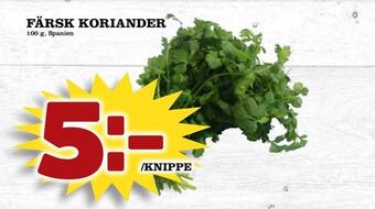 Matdax Färsk koriander erbjuda