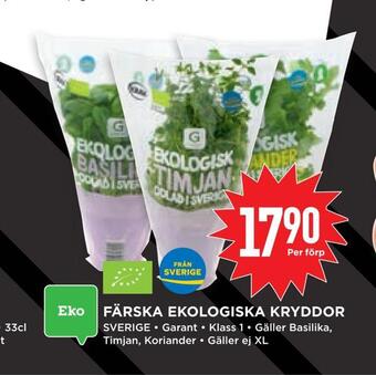 Willys Hemma Färska ekologiska kryddor erbjuda