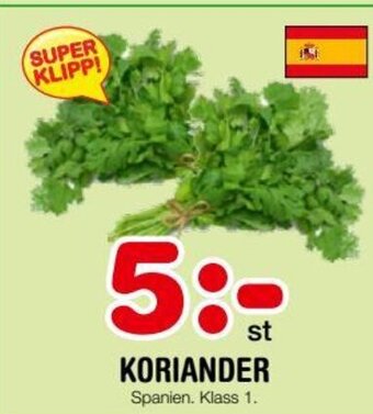 Nya Pulsen KORIANDER erbjuda