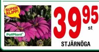 Nya Pulsen STJÄRNÖGA erbjuda