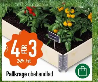 Granngården Pallkrage obehandlad erbjuda