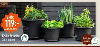 Kruka Botanica