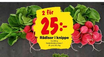 City Gross Gøl rädisor erbjuda
