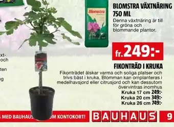 Bauhaus Blomstra fruktträd erbjuda