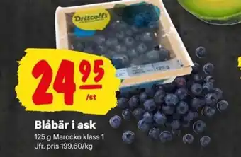 City Gross Blåbär i ask 125 g erbjuda