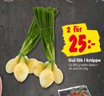 City Gross Gul lök i knippe erbjuda