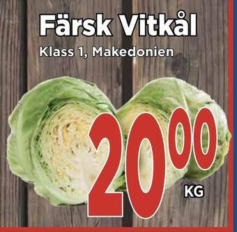 Supergrossen Färsk vitkål erbjuda