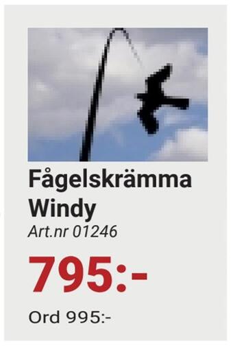 Erlandsons Brygga Fågelskrämma windy erbjuda