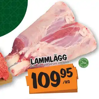 Lammlägg
