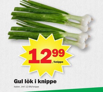 Pekås Gul lök i knippe erbjuda