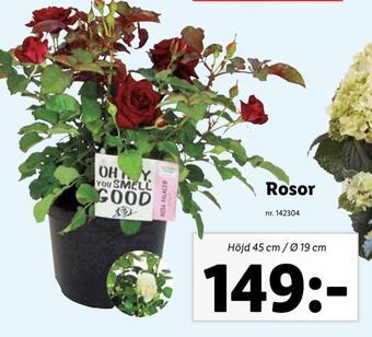 Lidl Rosor erbjuda