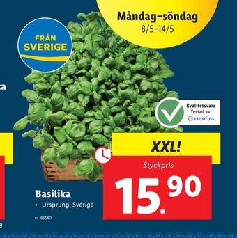 Lidl Basilika erbjuda