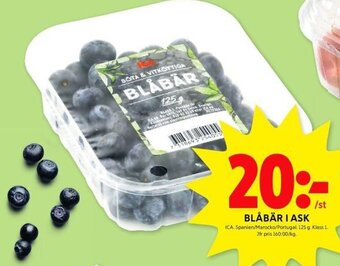 ICA Kvantum BLÅBÄR I ASK erbjuda