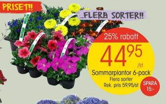 EKO Alpina plantor erbjuda